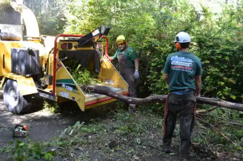 tree services Garden Valley